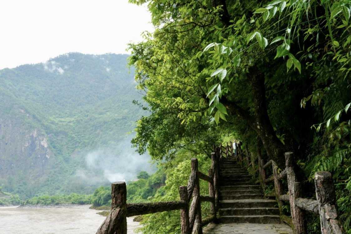 Village in the Mist